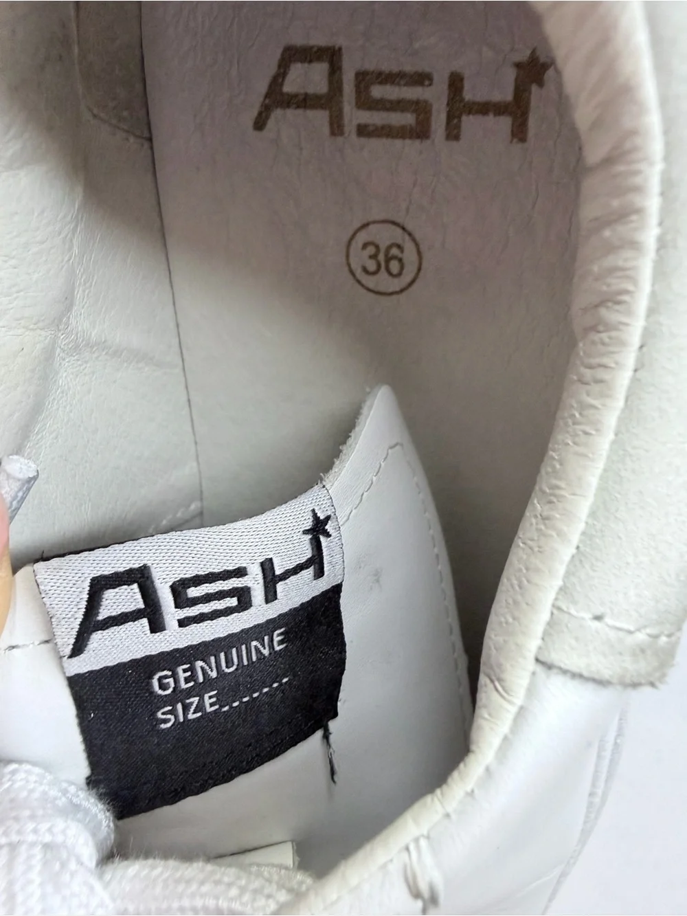 ASH Maya Platform Sneaker White Leather EU 36 US 6 Chunky Sole Minimalist
